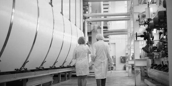 Peritajes Industriales Benalauría · Informes Periciales de Ingeniería